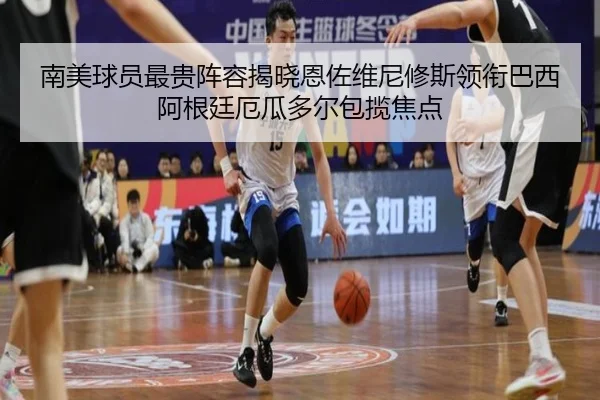 南美球员最贵阵容揭晓恩佐维尼修斯领衔巴西阿根廷厄瓜多尔包揽焦点